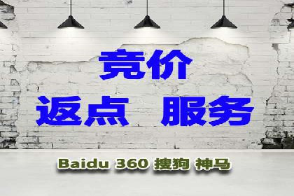 揭秘百度推广：成功案例背后的秘诀